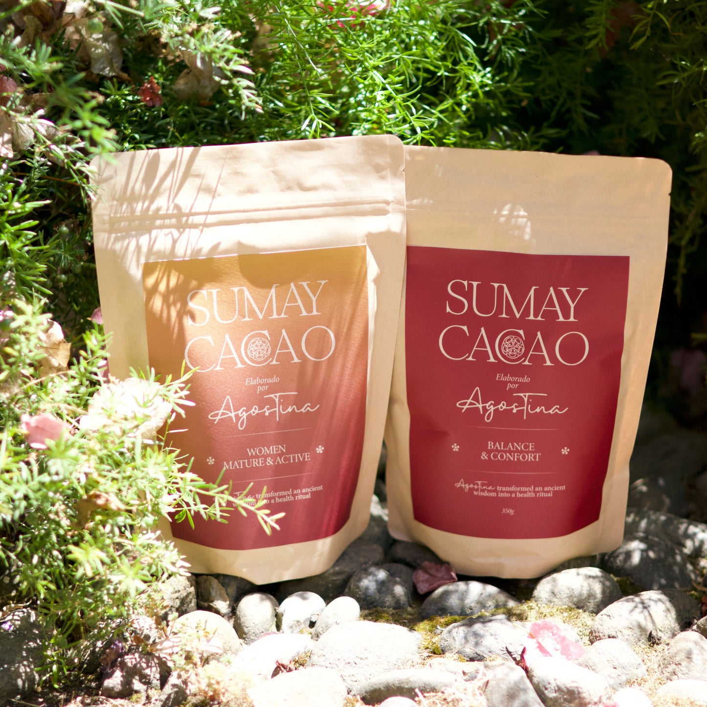 Paquetes de cacao sobre piedras y plantas de fondo, luz natural