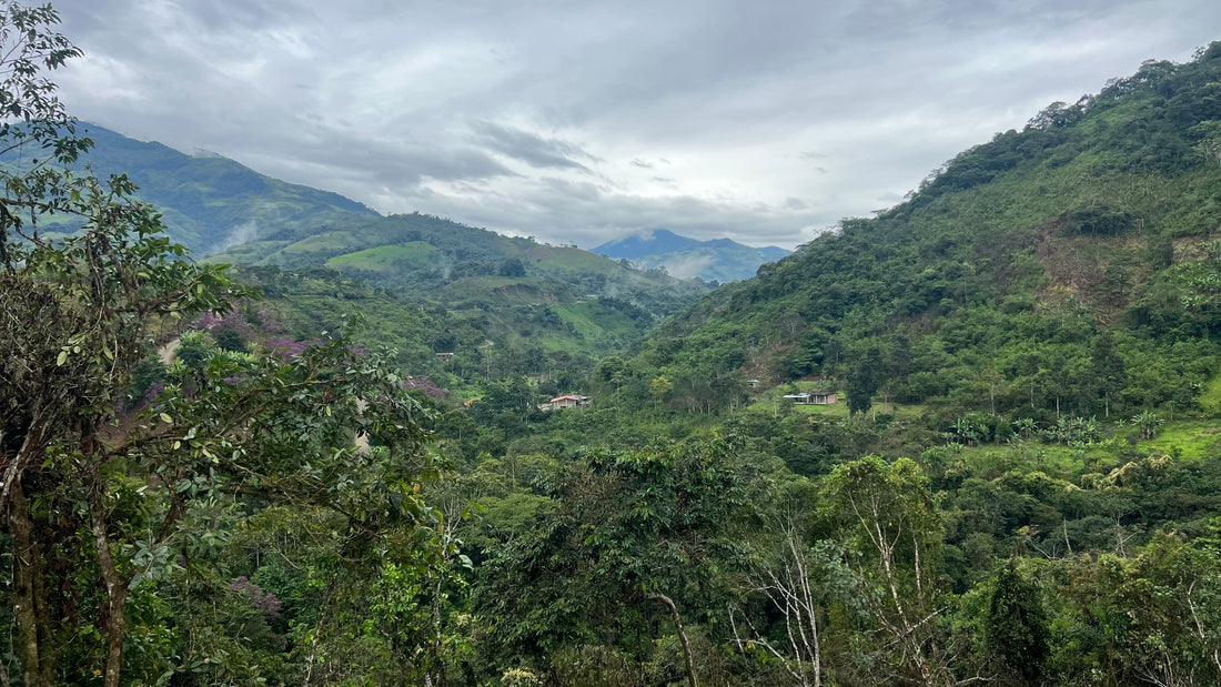Palanda, Ecuador, en la Alta Amazonía, durante el viaje de Sumay Cacao al origen del cacao