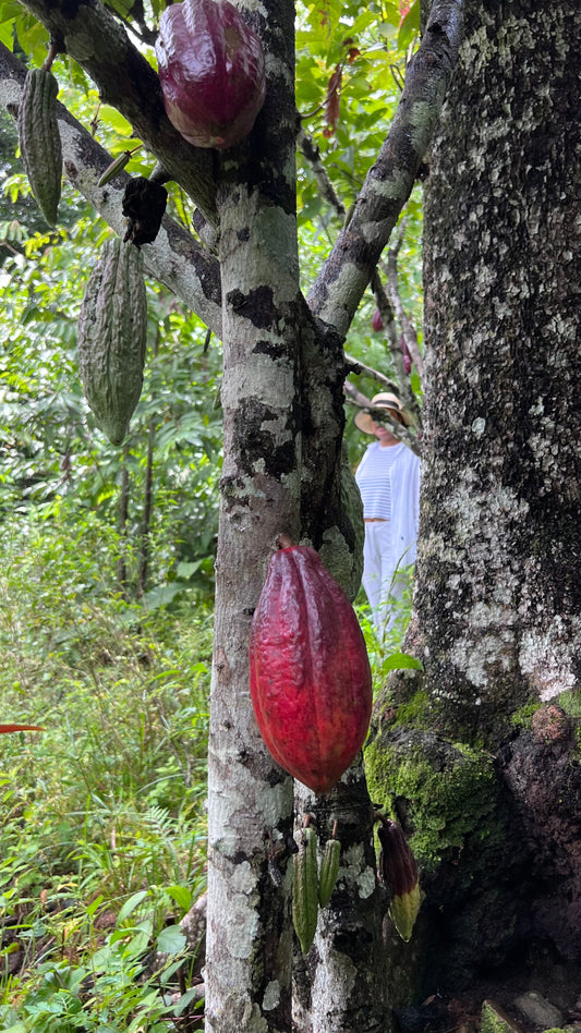 Fundadora de Sumay Cacao en territorio de origen del cacao en la Amazonía, conexión con el cacao ceremonial ancestral