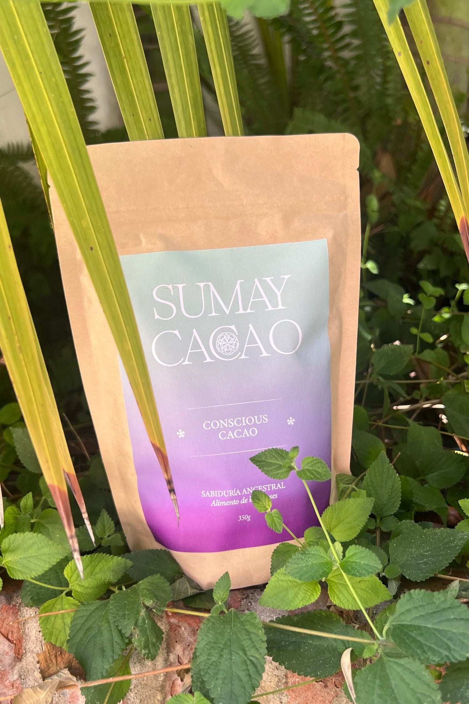 Conscious Cacao — cacao ceremonial puro de Ecuador, variedad Nacional fino de aroma